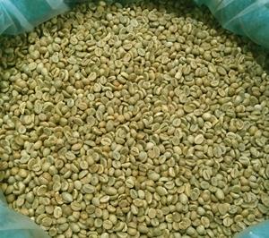 Café Robusta cru et torréfié du Brésil, processus lavé, qualité supérieure, grains de café vert Robusta, vente en gros de grains bruts - Product Image 6