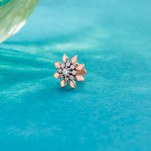 Bright Star Anneau de nez, bijou de nombril et piercing d'oreille à vis en acier inoxydable et titane - Product Image 1