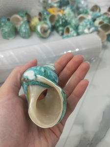 Conchas marinas de grado superior bien pulidas, Vietnam, seleccionadas a mano para artesanías y diseño de interiores, decoración ecológica de conchas marinas - Product Image 4