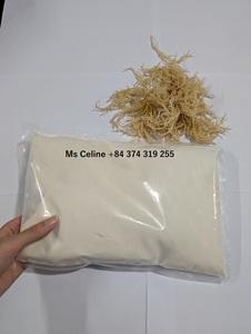 POLVO DE SEAMOSS/POLVO DE SEAMOSS IRLANDÉS/POLVO DE CARRAGEEN LISTO PARA EXPORTAR A GRANEL - Product Image 2