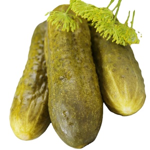 NORMA INTERNACIONAL Bueno para la salud Fábrica en Vietnam Suministro a granel Ecovita ENTEROS PICKLES Sabor agrio - Product Image 4