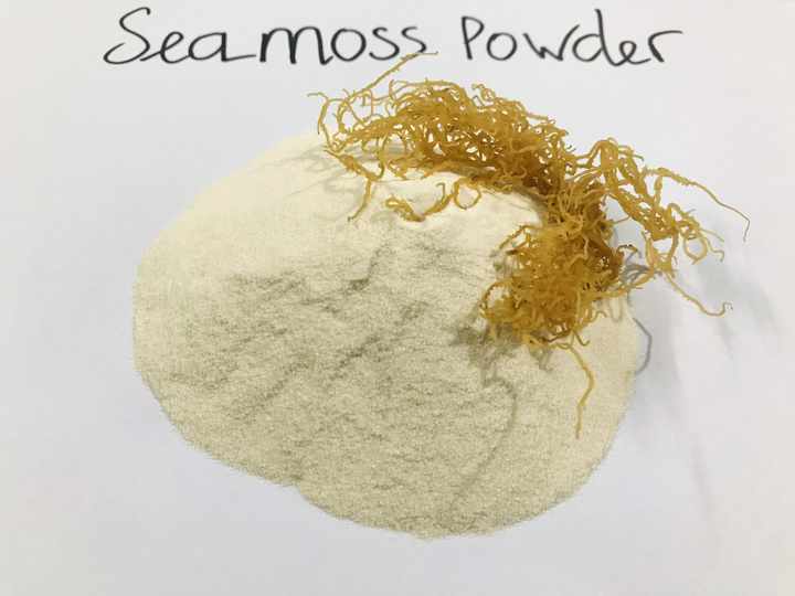 Seamoss| Dried Seamoss |Irish Seamoss Is Spiny/non Spiny From Suppliers at Preferential Prices