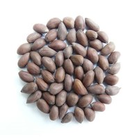 Graines de coton en vrac, offres de gros, emballage de haute qualité, livraison rapide et sécurisée