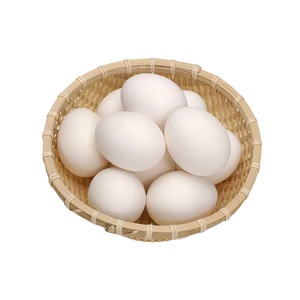 Huevos Fértiles para Incubar de Pollo Cobb 500 y Ross 308, Huevos de Pollo de Engorde Ross a la Venta al Mejor Precio - Product Image 3