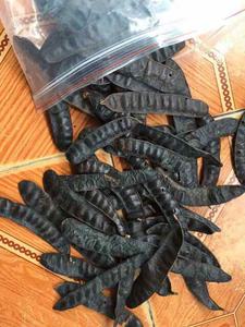 Gleditschiae Australia Fruit Dried Fructus Gleditschia para cabello - Product Image 4