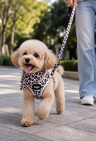 Ensemble Harnais et Laisse pour Chien à Imprimé Léopard Personnalisé en Gros – Harnais Réglable pour Animaux de Compagnie avec Collier et Accessoires pour Chiens