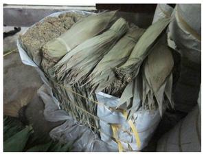 Feuille de bambou séchée entière naturelle verte séchée crue de qualité supérieure à partir de 99 données d'or Viet Nam - Product Image 3