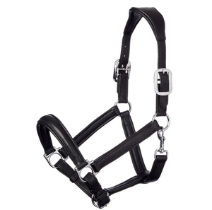 Cabestro Profesional de Primera Calidad, Duradero, para Carreras de Resistencia Ecuestre al Aire Libre, Fabricado en PP, con Certificación CE ISO-13485 - Product Image 6