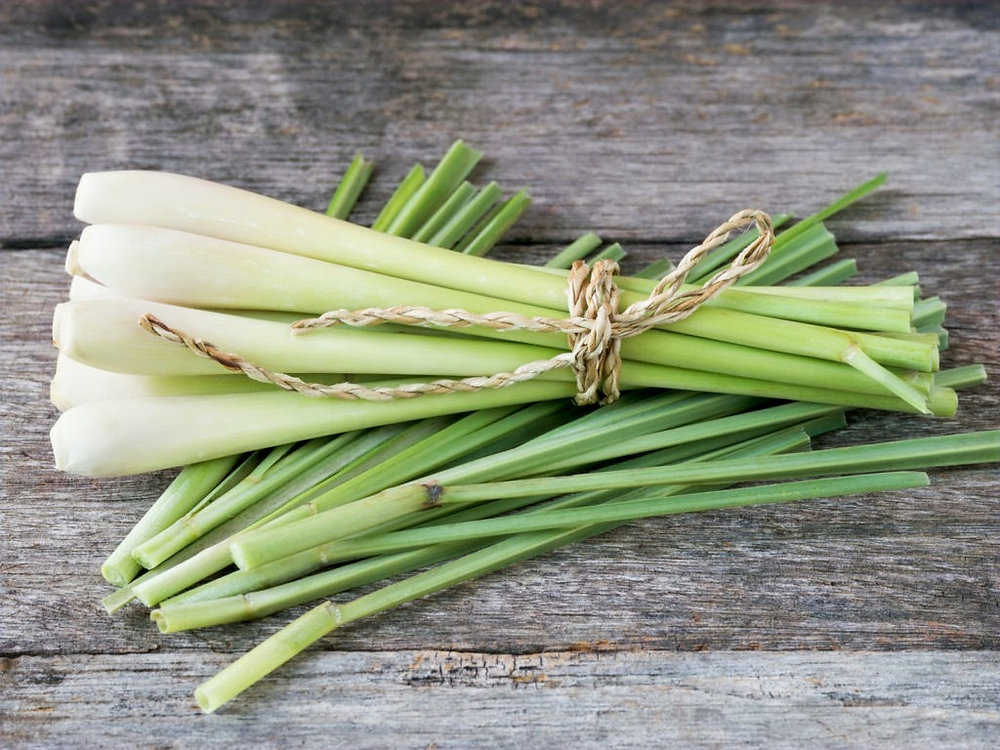 dried lemongrass