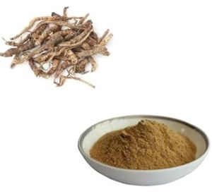 Extrait de racine de Picrorhiza kurroa Kutki en poudre OEM étiquetage privé supplément d'extrait de plante de production en vrac - Product Image 1