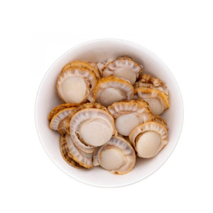 Carne de vieiras cocidas de primera calidad preparada para suministro a granel con entrega rápida - Product Image 3