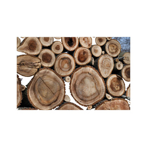 ไม้โอ๊คยุโรปจากโรมาเนียและยูเครน ลายไม้สม่ำเสมอ ได้มาตรฐานสิ่งแวดล้อมของสหภาพยุโรป ขายส่ง - Product Image 1