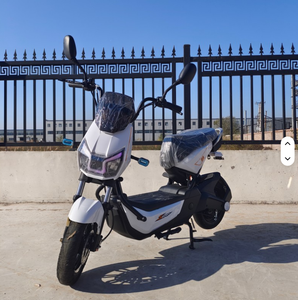 Motocicleta eléctrica de alto rendimiento versión CKD /SKD 1000W - Product Image 4