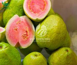 Cubes organiques IQF du Vietnam goyave rose congelée eau entière en vrac préservée exportation emballage sous vide modèles en tranches - Product Image 2