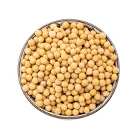 Haricots de soja séchés, graines de soja, protéine végétale, aliment sain, 100% naturel, non-OGM, sucré, torréfié, jaune, 50 kg, prix de gros