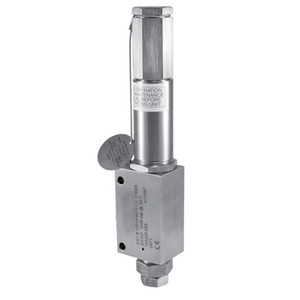 Válvula de Alivio de Fluoropolímero PTFE UHP Original Nueva RV-624-01 - Product Image 3