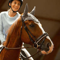 Bridon de cheval en cuir équestre de haute qualité professionnel et durable, personnalisation acceptée, licols de cheval SURGIGYNE