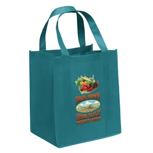 Custom Heat Seal Shopping Bags Supplier Promotional Ultrasonic Printed Bag Thuan Duc JSC