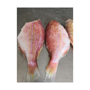 ซื้อปลาทะเลสีแดงแช่แข็งออนไลน์อาหารทะเลปลาแช่แข็งจำนวนมาก - Product Image 6