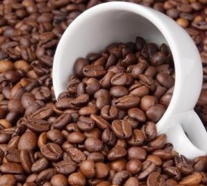 Natural Organic Arabica Coffee <b>Bean</b> - Product Image 1