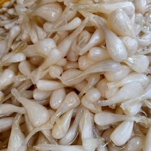 Vietnamese Picked Scallion Heads <b>Jar</b> Anna - Product Image 6