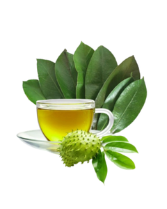 Hojas de Guanábana Secas Premium, Producto Herbal Natural - Product Image 5