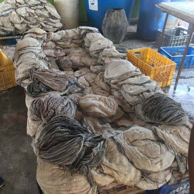 High Quality Frozen Beef Omasum Bulk Salted Beef and Dry Omasum for Sale High End Frozen Beef Tripe