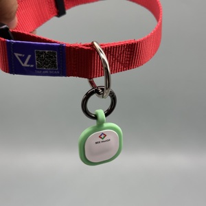 ป้ายห้อยคอสัตว์เลี้ยง NFC แบบกำหนดเองพร้อมคิวอาร์โค้ด ป้ายห้อยคอสุนัข HF 13.56Mhz ป้ายห้อยคอแมวและสุนัข ปลอกคออัจฉริยะ NFC - Product Image 2