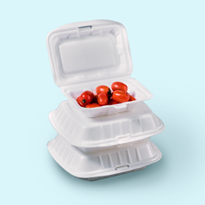 Vietnam Wholesale Disposable Foam Lunch Box Non-Toxic Plastic Rectangle <b>Container</b> for Meal Prep and <b>Take</b> <b>Away</b> Foam Lunch Box - Product Image 1