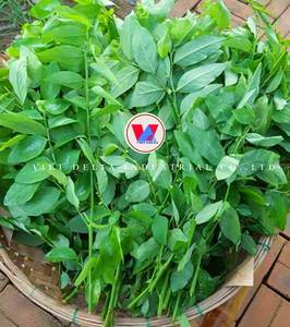 Hojas Secas Dulces a Granel 5kg de Viet Delta Corporation - Product Image 5