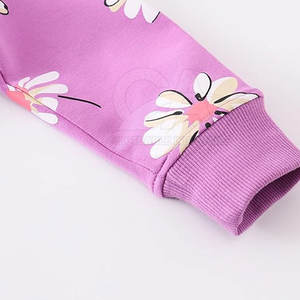 Sudadera de moda para niños hecha en fábrica, calidad premium, tasa baja, nuevo modelo, sudadera para niños - Product Image 5