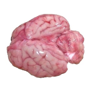 Cerveau de porc congelé entier |   Cerveau de porc de haute qualité pour les acheteurs mondiaux - Product Image 2