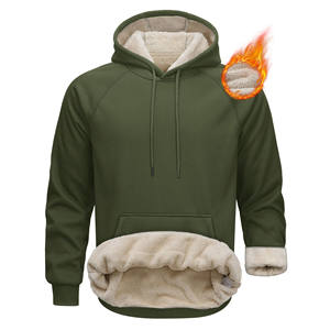 2025 de gran tamaño 450 GSM 100% algodón personalizado hombres sudaderas con capucha para hombres grueso Boxy Street Wear sudaderas con capucha para hombres fábrica - Product Image 1