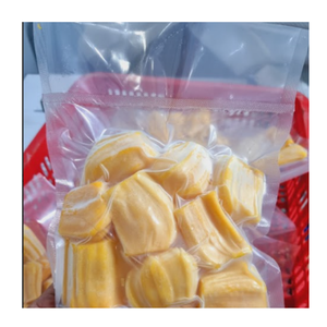 ขนุนแช่แข็งแบบไม่มีเมล็ด | การส่งออกจากเวียดนามที่มีคุณภาพสูง | ยินดีต้อนรับการสั่งซื้อจำนวนมาก - Product Image 6