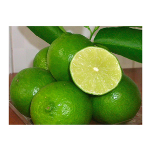Venta superior de Vietnam para limón verde fresco sin semilla 100% natural, Limón Lima sin semillas, cítricos frescos verdes Premium - Product Image 1
