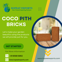 Coco Peat 650 Grammes Stérilisé Premium Coconut Coir Block Support de culture pour plantes Jardin et pépinière Utilisation Emballage de vente au détail