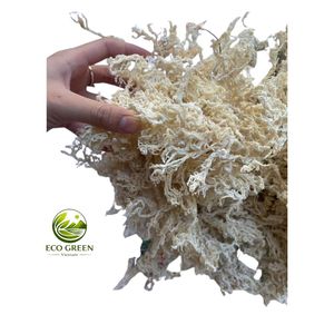 สาหร่ายทะเลไอริชสีเหลืองแห้งแบบธรรมชาติจำนวนมาก สำหรับการผลิตอาหารเพื่อสุขภาพ - Product Image 6