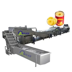 Small scale canned pineapple in syrup production line pineapple slices canning machine