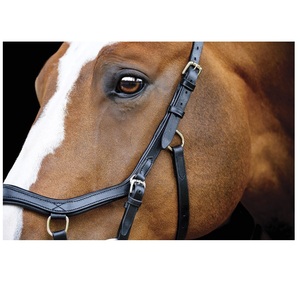 La mejor calidad Irlanda Micklem Competition Bridle Material de cuero de búfalo curtido ecológico a un precio asequible - Product Image 4