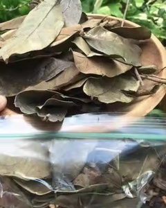 FABRICANT DE FEUILLES DE COROSSOL SÉCHÉES DU VIETNAM - Product Image 6