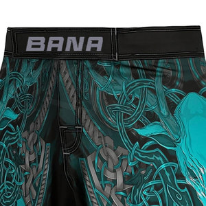 Nuevo Diseño, Pantalones Cortos de Boxeo MMA de Alta Calidad, los Más Vendidos, Fabricación al por Mayor, Diseño Personalizado con Logotipo, 100% Algodón Elástico - Product Image 3