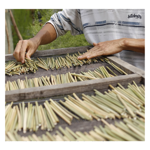 Eco-Friendly Natural Reed <b>Straw</b> Dried <b>Bamboo</b> Grass <b>Straws</b> for Safe Drinking Party Occasion Directly Sourced From Vietnam 99GD - Product Image 2