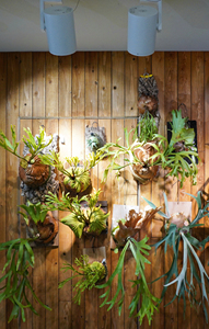 Design optimal Spot à LED 45W Hadès Downlight monté en surface Intérieur de travail haut de gamme Éclairage à LED monté en surface - Product Image 2