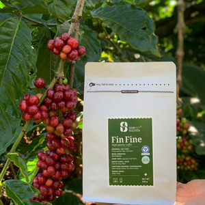 โรบัสต้าคั่วในขวดเวียดนามกาแฟ100% บริสุทธิ์ผิวหวานหนาเป็นธรรมชาติ - Product Image 4