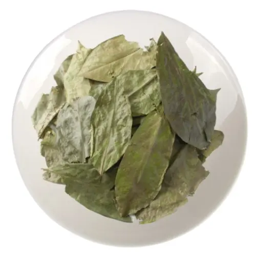 जैविक हर्बल चाय सूखे सूसरपत्ती / ग्रेविओला पत्तियां स्वास्थ्य के लिए वियतनाम से निर्यात के लिए अच्छी हैं