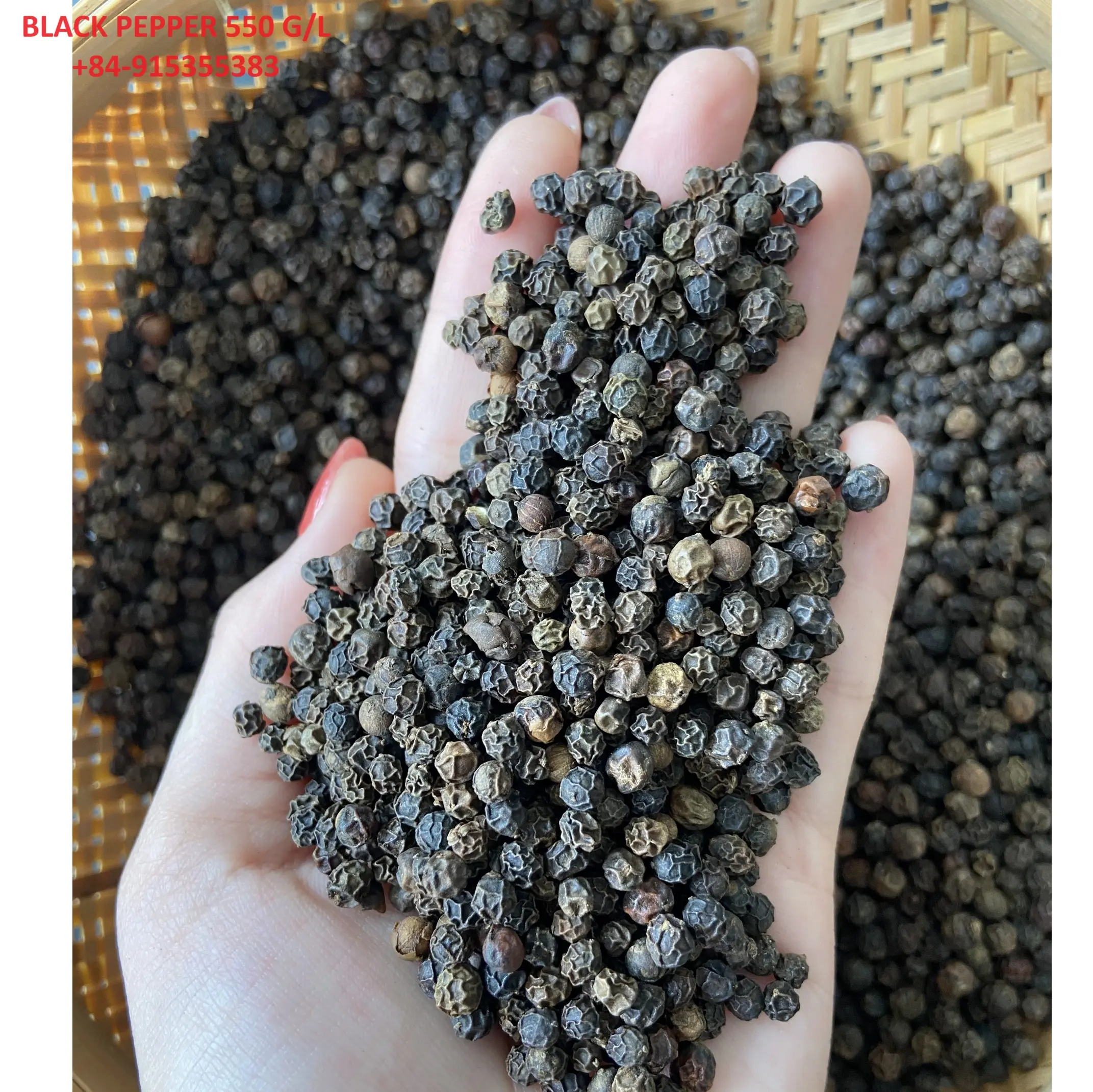 Hot Spicy White Black Pepper- Pinhead Premium Quality From TOP Vietnam Suppplier- WS: +84-915355383