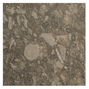 Cao cấp pakistani hóa thạch màu nâu đá cẩm thạch tấm trong tùy chỉnh kích cỡ, pakistani hóa thạch màu nâu đá cẩm thạch tấm, 100% tự nhiên hóa thạch đá cẩm thạch - Product Image 1