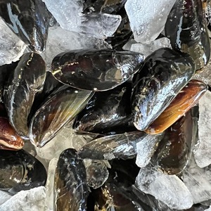 Cozze Surgelate di Alta Qualità, Sapore Naturale, Frutti di Mare Freschi, Fornitura all'Ingrosso per Hotel, Ristoranti e Mercati Globali di Frutti di Mare - Product Image 1