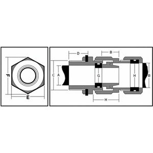 Prensaestopas de Latón de Doble Compresión Resistente a la Intemperie Premium SFP02A 34ET Rosca M20 IP66 para Cables de 14 a 20 mm - Product Image 6