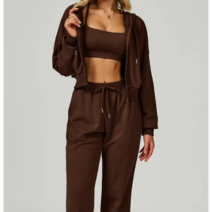 Automne hiver nouvelles femmes à capuche décontracté sweat ample sweats à capuche ensemble de sport zippé pour la course en plein air et les sports - Product Image 2